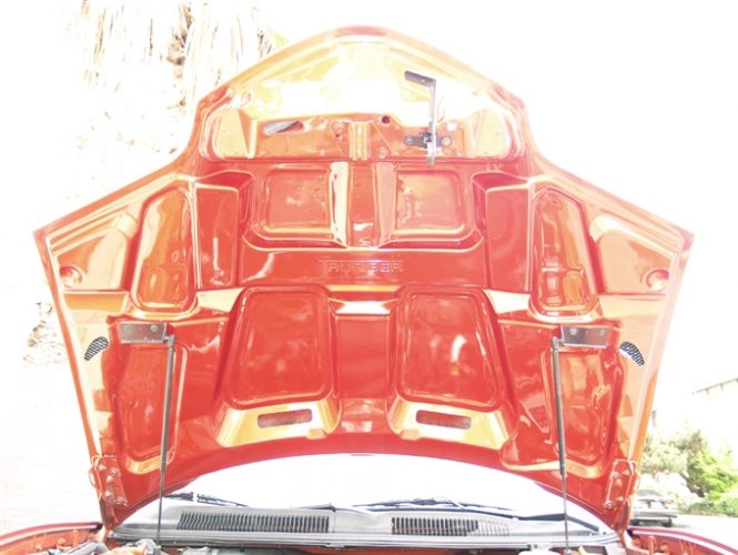 1998-2002 Firebird Fiberglass A59 Ram Air Hood