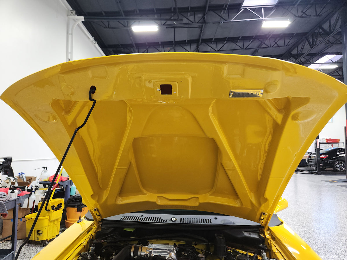 1999-2004 Mustang Fiberglass A49-2 Hood