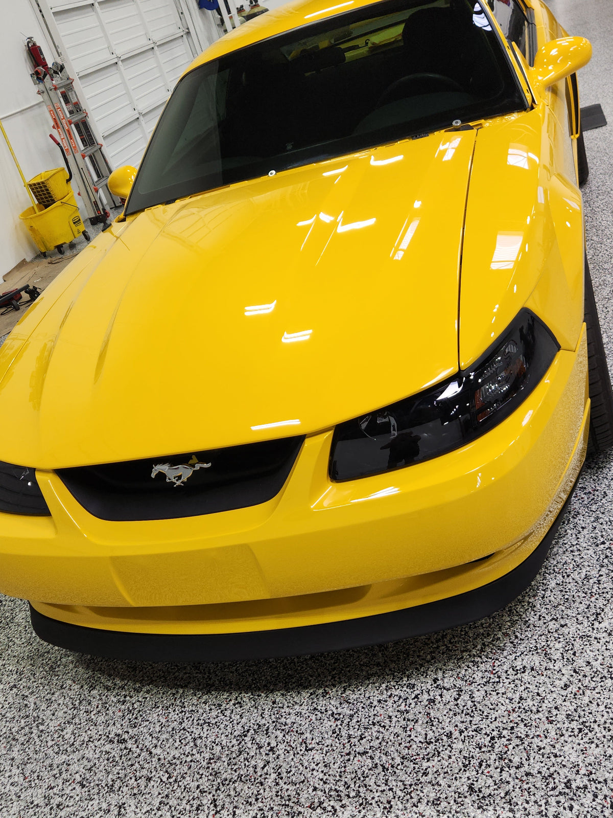 1999-2004 Mustang Fiberglass A49-2 Hood