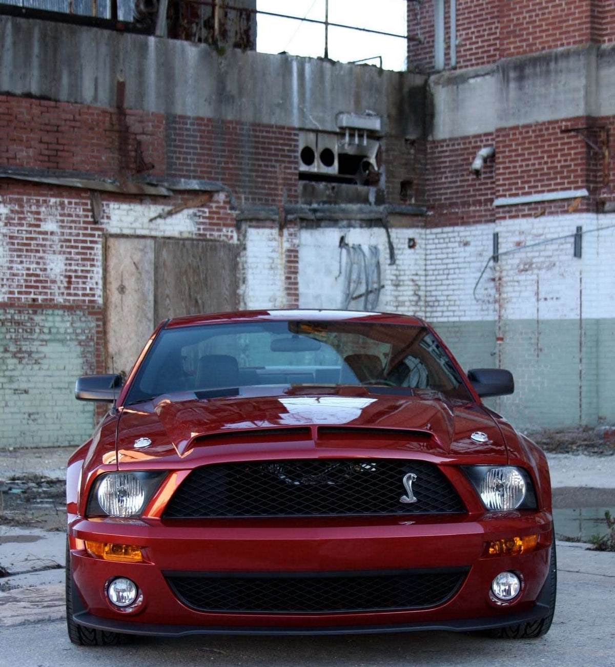 2007-2009 Mustang GT500 Fiberglass A53KR Ram Air Hood