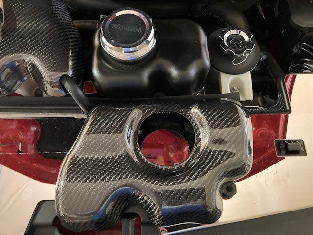2007-2014 Mustang Carbon Fiber LG499 Intercooler Tank Cover - EXCLUSIVE