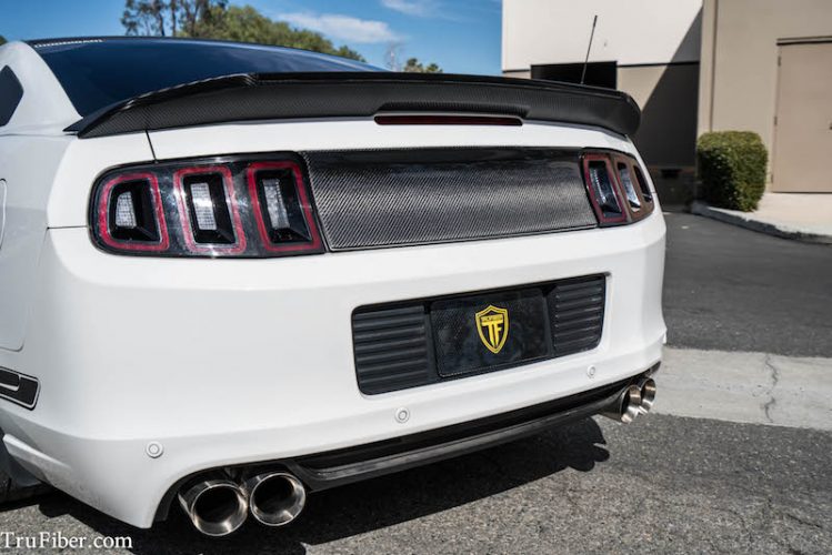 2010-2014 Mustang Carbon Fiber LG271 Blackout Panel V2