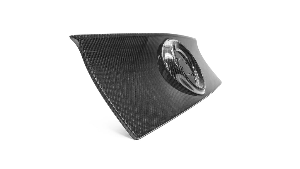 2013-2014 Mustang Carbon Fiber LG565 Blackout Panel - EXCLUSIVE