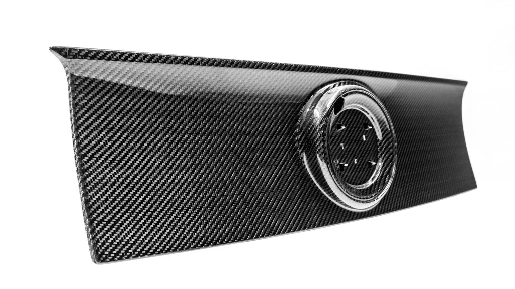 2013-2014 Mustang Carbon Fiber LG565 Blackout Panel - EXCLUSIVE