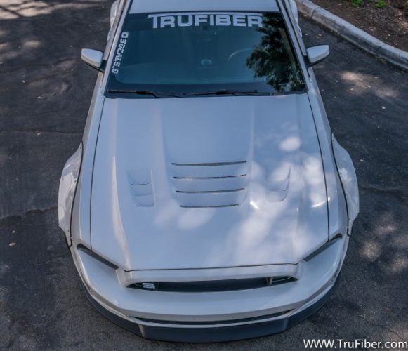 2013-2014 Mustang Fiberglass A81 Hood