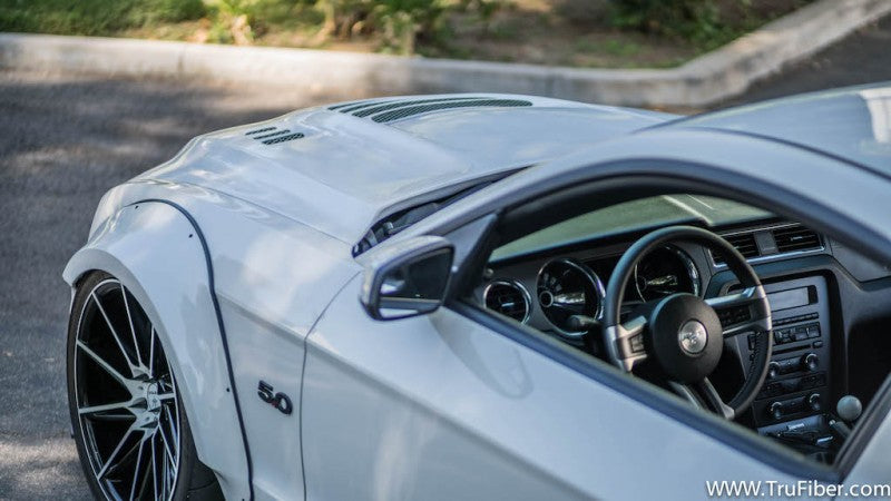 2013-2014 Mustang Fiberglass A81 Hood