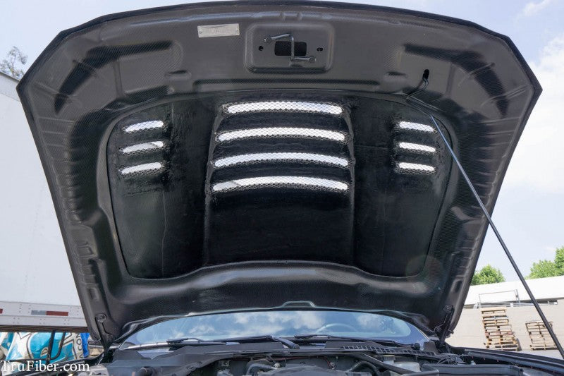 2015-2017 S550 Mustang Carbon Fiber A81-RL Hood - EXCLUSIVE (Raceline)