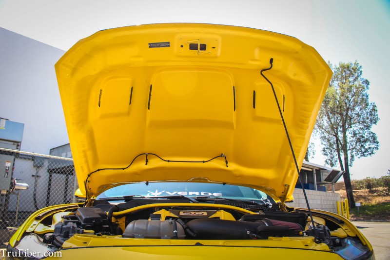 2015-2017 S550 Mustang Fiberglass A81 Hood