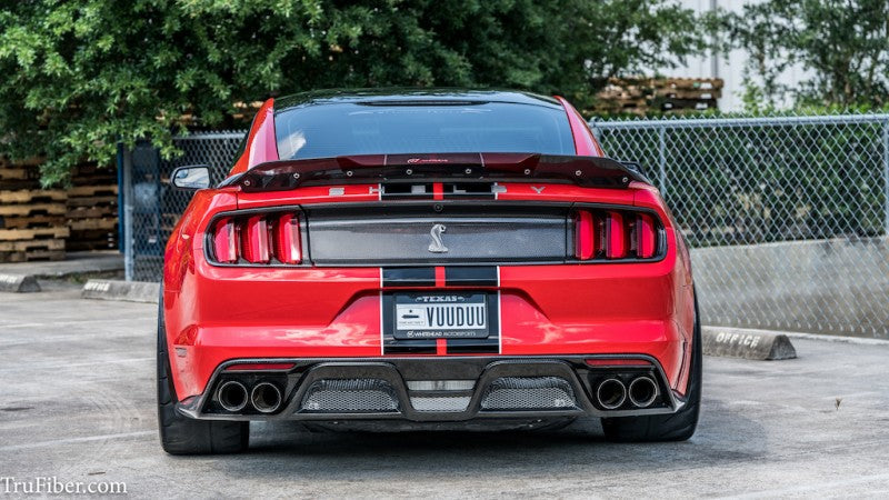 2015-2019 S550 Mustang GT350 Carbon Fiber LG371 WICKER BILL - EXCLUSIVE