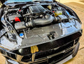 2024 Mustang S650 Carbon Fiber LG610 Radiator Cover