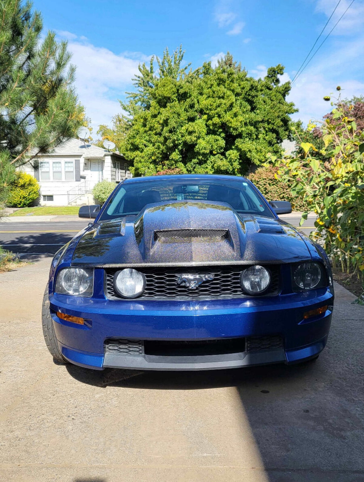 2005-2009 Ford Mustang Terminator Carbon Fiber Hood - ViS Racing image 2