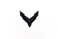 Corvette C8 Stealth Hood Emblem – Carbon Flash | OEM GM