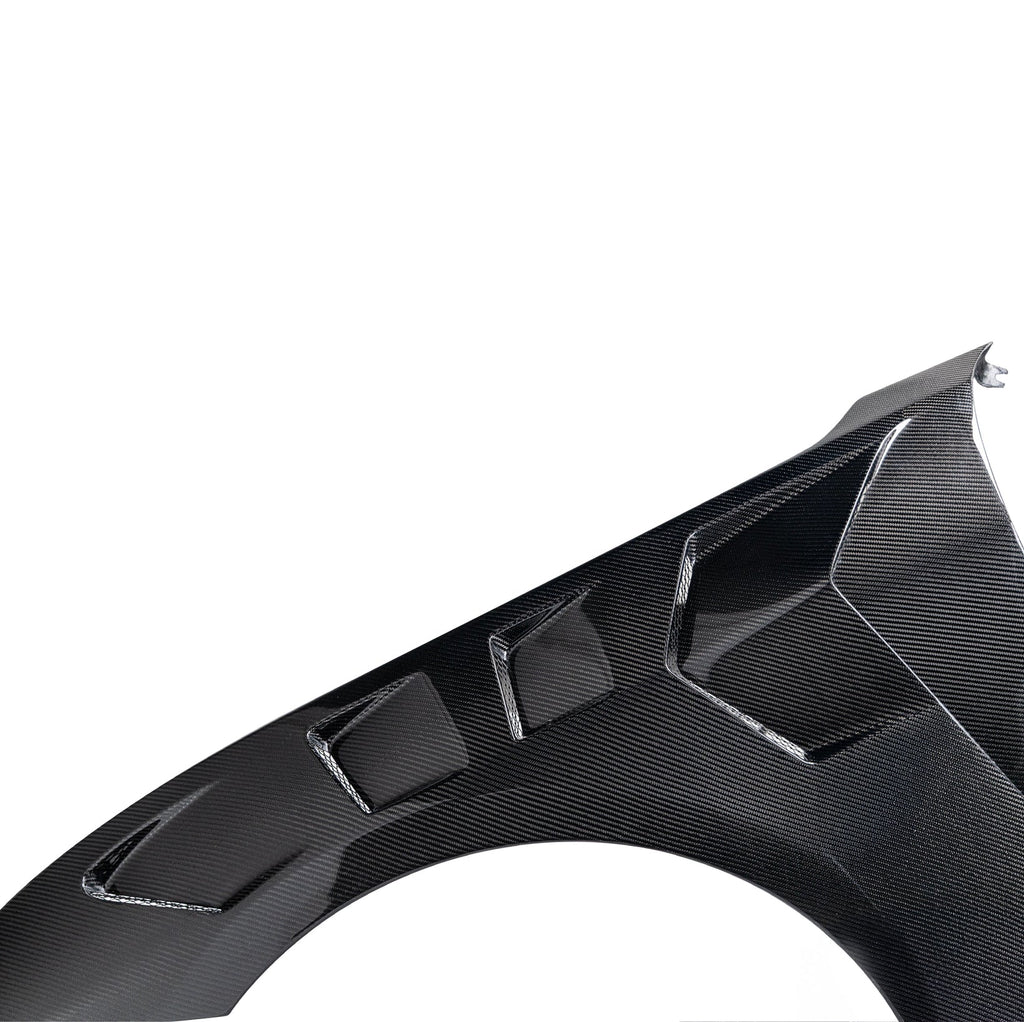 2024-2025 Mustang S650 Type-LM Gloss Carbon Fiber Fenders