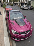 14-17 Chevy SS ZL1 V2 hood