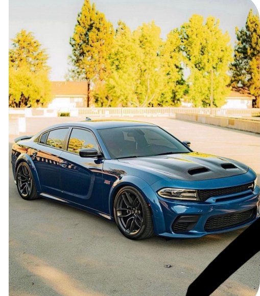 15-23 dodge charger redeye V1 hood