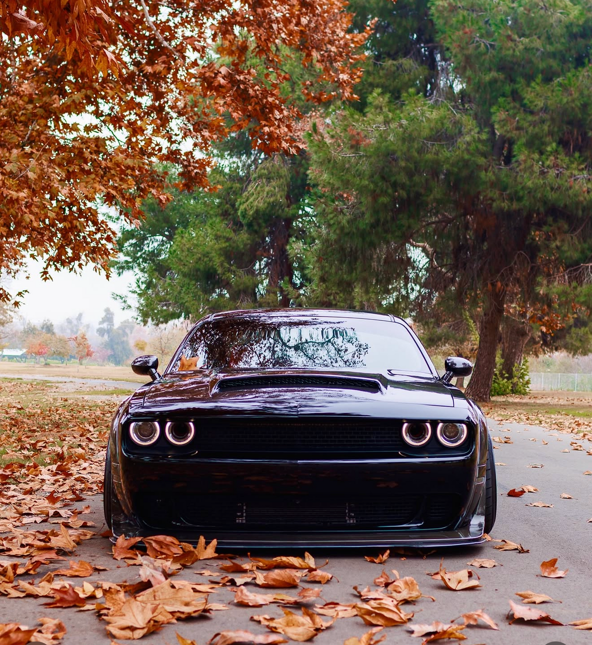 dodge challenger demon style hood