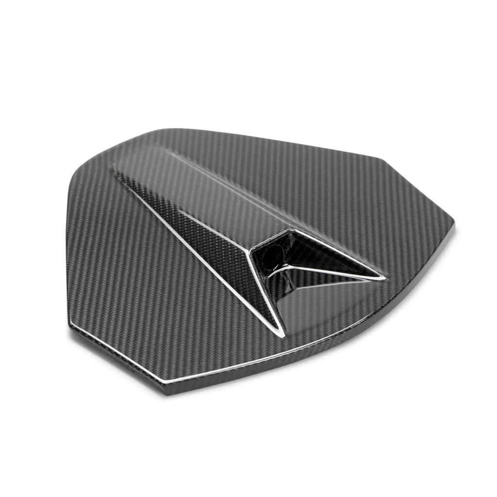 2020–2024 Chevrolet Corvette C8 Carbon Fiber Rear Camera Decklid Housing Panel (Coupe)