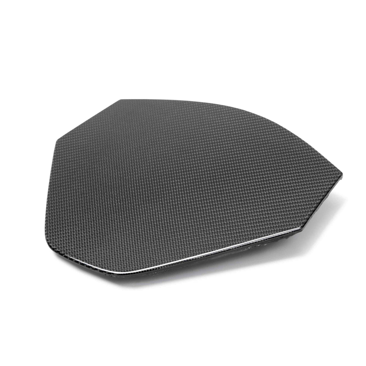 2020–2024 Chevrolet Corvette C8 Carbon Fiber Decklid Housing Panel (Coupe)