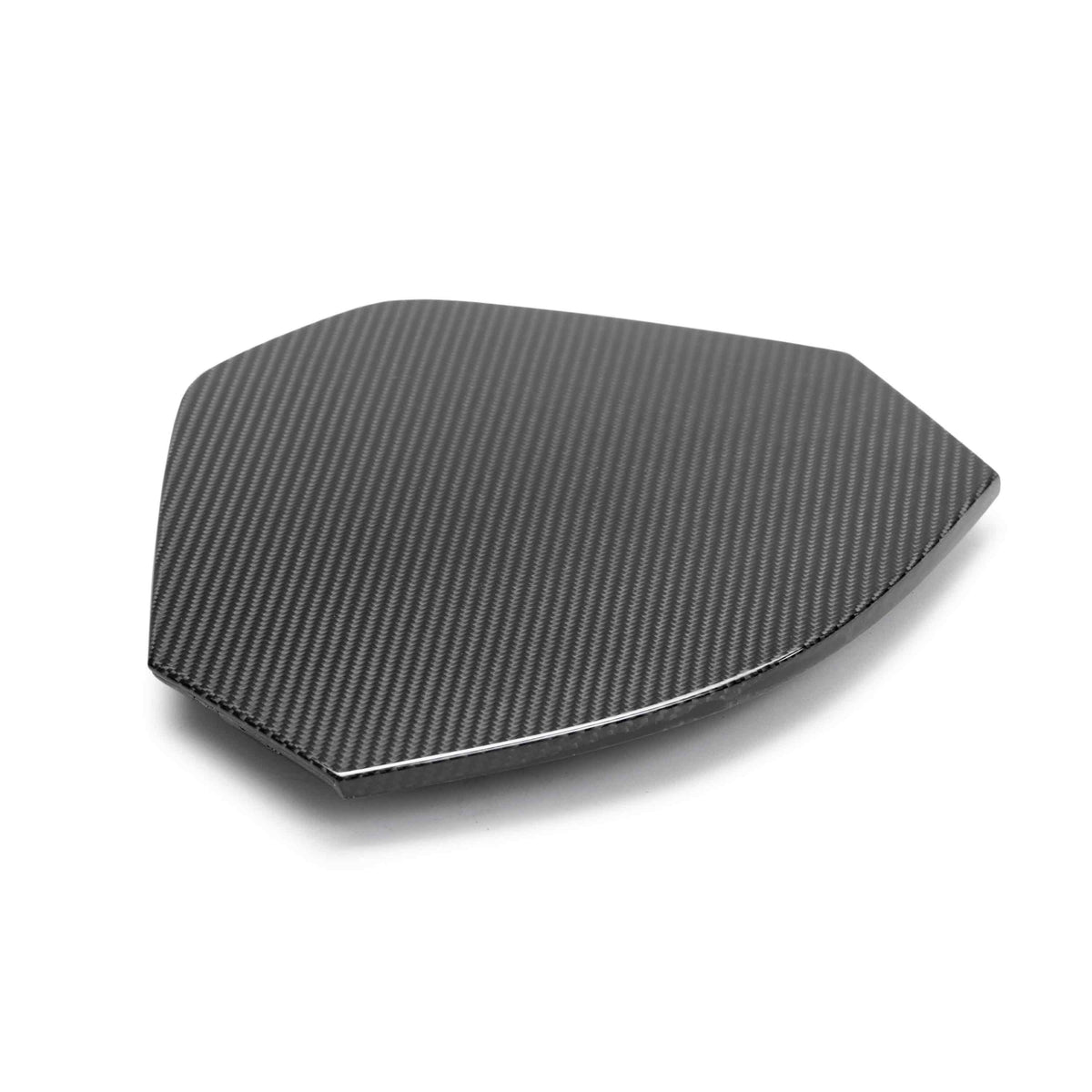 2020–2024 Chevrolet Corvette C8 Carbon Fiber Decklid Housing Panel (Coupe)