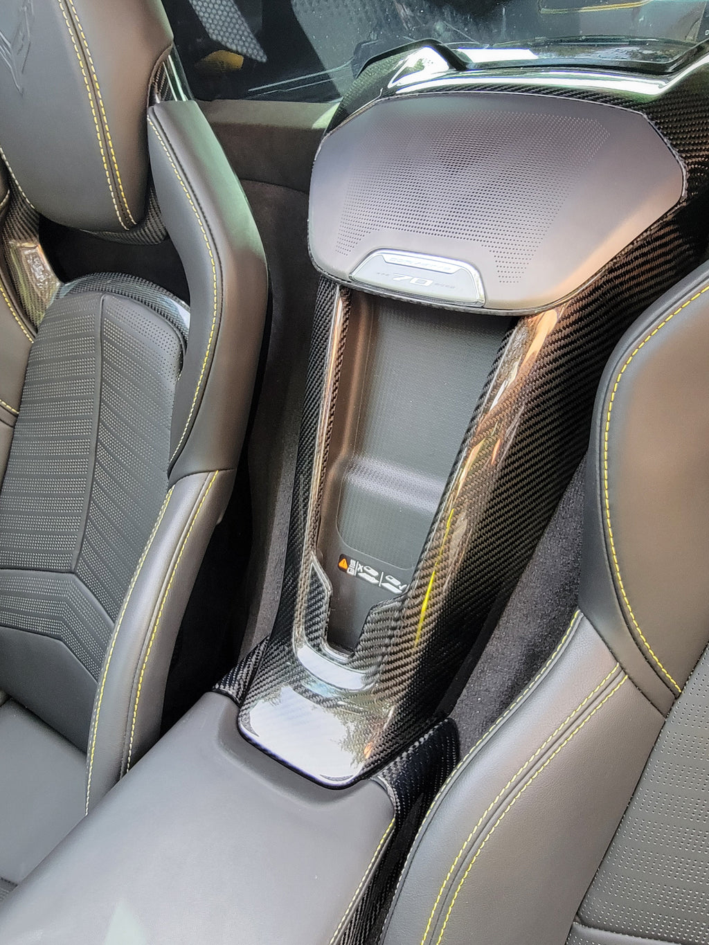 C8 Corvette Carbon Fiber LG583 Waterfall Speaker Cover - EXCLUSIVE