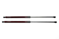 C8 Corvette Carbon Fiber Hood Struts - Red, Blue, Forged