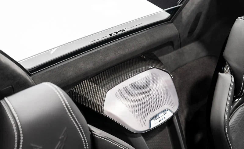 C8 Corvette Carbon Fiber Waterfall Speaker Trim Cover – HTC