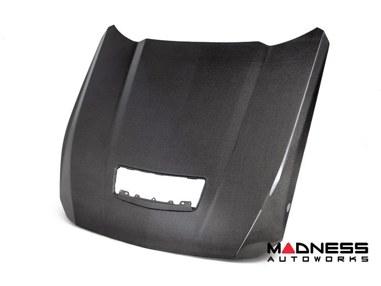2018–2023 Ford Mustang Type-OE Carbon Fiber Hood image 2